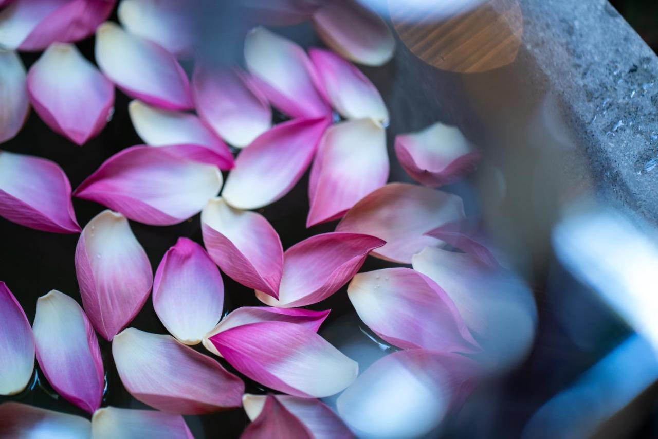 Shintana Saya La Maison Ciudad de Siem Riep Exterior foto Lotus petals
